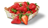 Aktuelle Erdbeeren Angebote bei Penny in Hildesheim Aktuelles Erdbeeren Angebot bei Penny in Hildesheim ab 2,49 €