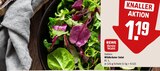 REWE Bad Ems - Wildkräuter Salat Angebot im Prospekt Wildkräuter Salat bei REWE im Bad Ems Prospekt für 1,19 €