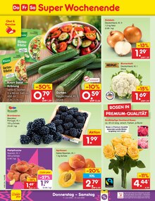 Pflanzen im Netto Marken-Discount Prospekt "Aktuelle Angebote" mit 67 Seiten (Braunschweig)