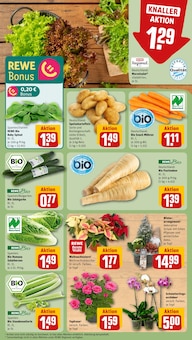 Pflanzen im REWE Prospekt "Dein Markt" mit 32 Seiten (Nürnberg)