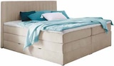 Boxspringbett SIMON im Angebot bei Zurbrüggen in Lüdenscheid Boxspringbett SIMON Angebote bei Zurbrüggen Lüdenscheid für 998,00 €