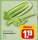Staudensellerie bei REWE im Sömmerda Prospekt für 1,19 €