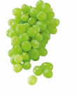 Aktuelles Trauben hell Angebot bei Netto Marken-Discount in Frankfurt (Main) ab 1,99 €