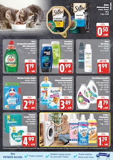 Pampers im EDEKA Prospekt "Top Angebote" mit 24 Seiten (Lübeck)