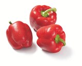 Rote Paprika im Angebot bei Lidl in Bad Kreuznach Rote Paprika Angebote bei Lidl Bad Kreuznach für 1,49 €