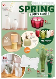 Prix et réduction Fleurs dans le prospectus Maxi Bazar en cours Offre Fleurs dans le catalogue Maxi Bazar du moment à la page 5