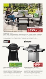 Pflanzen Kölle Grill im Prospekt Pflanzen Kölle Grill im Prospekt