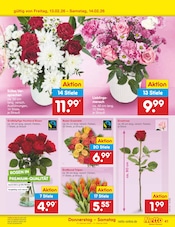 Aktueller Netto Marken-Discount Prospekt mit Dekoration, "Aktuelle Angebote", Seite 53