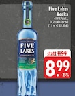 Vodka Angebote von Five Lakes bei E center Ahlen für 8,99 €