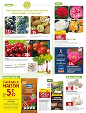 Terreau Angebote im Prospekt "ON M quand les souvenirs se créent au jardin" von LaMaison.fr Terreau Angebote im Prospekt "ON M quand les souvenirs se créent au jardin" von LaMaison.fr auf Seite 18