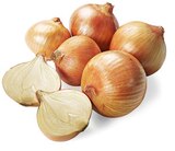 Gelbe Speisezwiebeln im Angebot bei REWE in Germering Gelbe Speisezwiebeln Angebote bei REWE Germering für 1,19 €