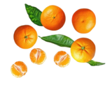 Spanische Clementinen XXL im Kaufland Prospekt Spanische Clementinen XXL im aktuellen Kaufland Prospekt für 3,99 €