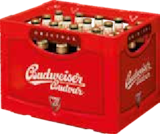 Getränke Quelle WVG Artern - Lager, Dark Lager oder Alkoholfrei 0,0% Angebot im Prospekt Lager, Dark Lager oder Alkoholfrei 0,0% bei Getränke Quelle WVG im Artern Prospekt für 15,99 €