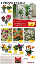 Aktueller toom Baumarkt Prospekt mit Milch, "Respekt, wer's selber macht.", Seite 5