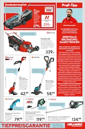 Schere Angebot im aktuellen Hellweg Prospekt auf Seite 11