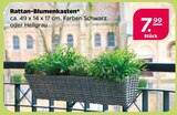 Rattan-Blumenkasten Angebote bei Netto mit dem Scottie Halle für 7,99 €