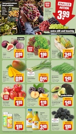 Tierfutter im REWE Prospekt in Filderstadt Aktueller REWE Prospekt mit Tierfutter, "Dein Markt", Seite 4