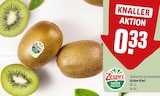 Grüne Kiwi von Zespri im aktuellen REWE Prospekt