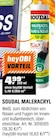 MALERACRYL im OBI Prospekt MALERACRYL von SOUDAL im aktuellen OBI Prospekt für 4,99 €