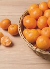 Clementinen im tegut Prospekt Clementinen von tegut... im aktuellen tegut Prospekt für 1,49 €