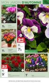 Promos Chrysanthèmes dans le catalogue "JARDIN" de Carrefour Chrysanthèmes en promo dans le catalogue Carrefour à la page 3
