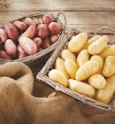Intermarché Brétigny-sur-Orge - Promo Pommes de terre de consommation à chair ferme Promo Pommes de terre de consommation à chair ferme à 1,59 € dans le catalogue Intermarché à Brétigny-sur-Orge