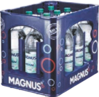 Mineralwasser Angebote von Magnus bei EDEKA Kiel für 3,99 €