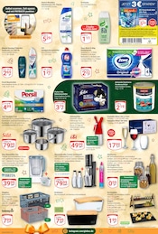 Bambus im GLOBUS Prospekt in Amberg Aktueller GLOBUS Prospekt mit Bambus, "Aktuelle Angebote", Seite 4