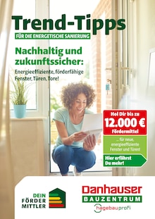 Danhauser Prospekt Trend-Tipps für die energetische Sanierung mit  Seiten in Regenstauf und Umgebung