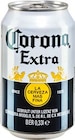 Aktuelle Bier Angebote bei Netto Marken-Discount in Marl Aktuelles Extra Angebot bei Netto Marken-Discount in Marl ab 0,89 €