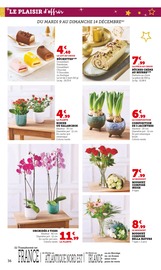 Plante Verte Angebote im Prospekt "Super U" von Super U Plante Verte Angebote im Prospekt "Super U" von Super U auf Seite 36