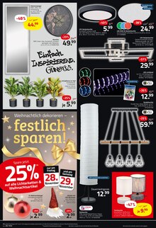 Zimmerpflanzen im ROLLER Prospekt "BÄRENSTARKE BLACK WEEKS" mit 18 Seiten (Essen)