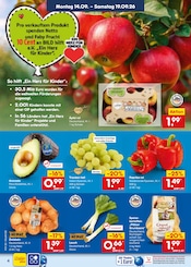 Äpfel im Netto Marken-Discount Prospekt in Erkelenz Aktueller Netto Marken-Discount Prospekt mit Äpfel, "Aktuelle Angebote", Seite 6