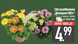 Chrysathemen Bouquet Mix im aktuellen EDEKA Prospekt für 4,99 €