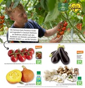 Aktueller Marktkauf Prospekt mit Bio, "Aktuelle Angebote", Seite 4