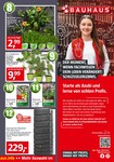 Kräuter Kräuter