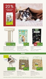 Katzenkratzbaum Angebot im aktuellen Pflanzen Kölle Prospekt auf Seite 16