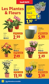 Jardinage Angebote im Prospekt "SOLDES ! SOLDES ! Économisez jusqu'à 80 %" von Lidl Jardinage Angebote im Prospekt "SOLDES ! SOLDES ! Économisez jusqu'à 80 %" von Lidl auf Seite 28