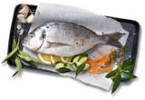 Aktuelle Fisch Angebote bei Kaufland in Mönchengladbach Aktuelles Dorade Angebot bei Kaufland in Mönchengladbach ab 9,59 €