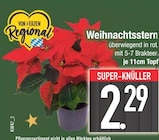 Weihnachtsstern im EDEKA Prospekt Weihnachtsstern von im aktuellen EDEKA Prospekt für 2,29 €