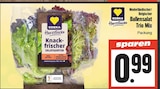 EDEKA Stahlhofen (Wiesensee) Prospekt mit  im Angebot für 0,99 €