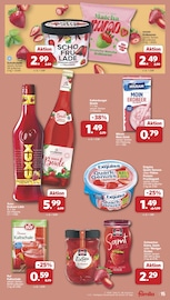 Aktueller famila Nordwest Prospekt mit Quark, "Markt - Angebote", Seite 15