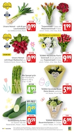 Tulpen im EDEKA Prospekt in Ravensburg Aktueller EDEKA Prospekt mit Tulpen, "Aktuelle Angebote", Seite 6