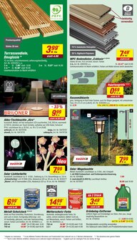 Blumen im toom Baumarkt Prospekt "Respekt, wer's selber macht." mit 24 Seiten (Dortmund)