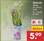 Zierlauch  im aktuellen Netto Marken-Discount Prospekt für 5,99 €