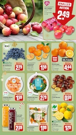 Ähnliche Angebote wie Aquarium im Prospekt "Dein Markt" auf Seite 8 von REWE in Düsseldorf