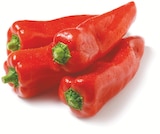 Spitzpaprika rot im aktuellen Netto mit dem Scottie Prospekt