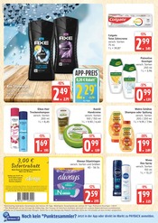 Shampoo im Marktkauf Prospekt in Wismar Aktueller Marktkauf Prospekt mit Shampoo, "Top Angebote", Seite 26