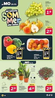 Aktueller Netto mit dem Scottie Prospekt "Günstig. Besser. Für Dich." Aktueller Netto mit dem Scottie Prospekt