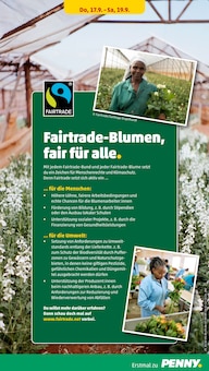 Schnittblumen Angebot im Penny Prospekt, gültig von 14.09.2026 bis 19.09.2026 Schnittblumen Angebot im aktuellen Penny Prospekt auf Seite 31